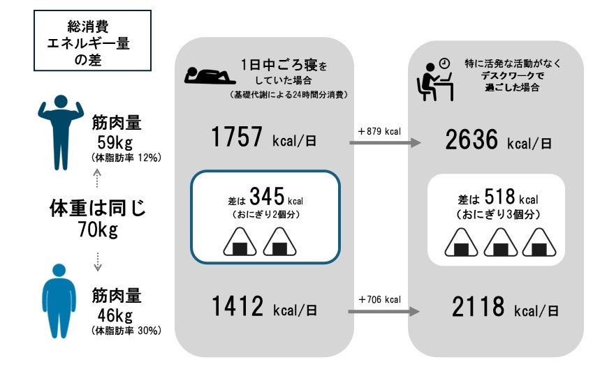 筋肉量および体脂肪率の違いによる総消費エネルギー量の差を示すイラスト・図