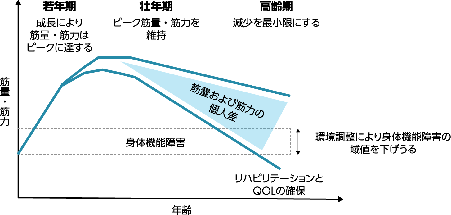 サルコペニアの生涯モデルと個人差