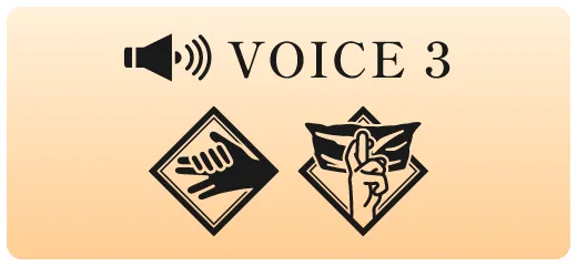 voice3