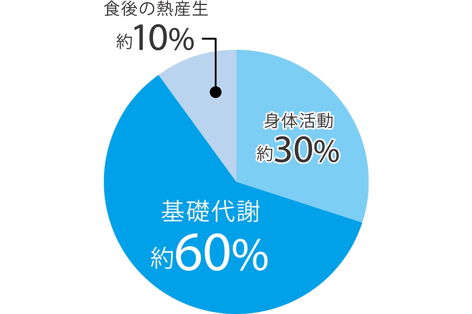 1日の総消費エネルギー量の内訳の円グラフ