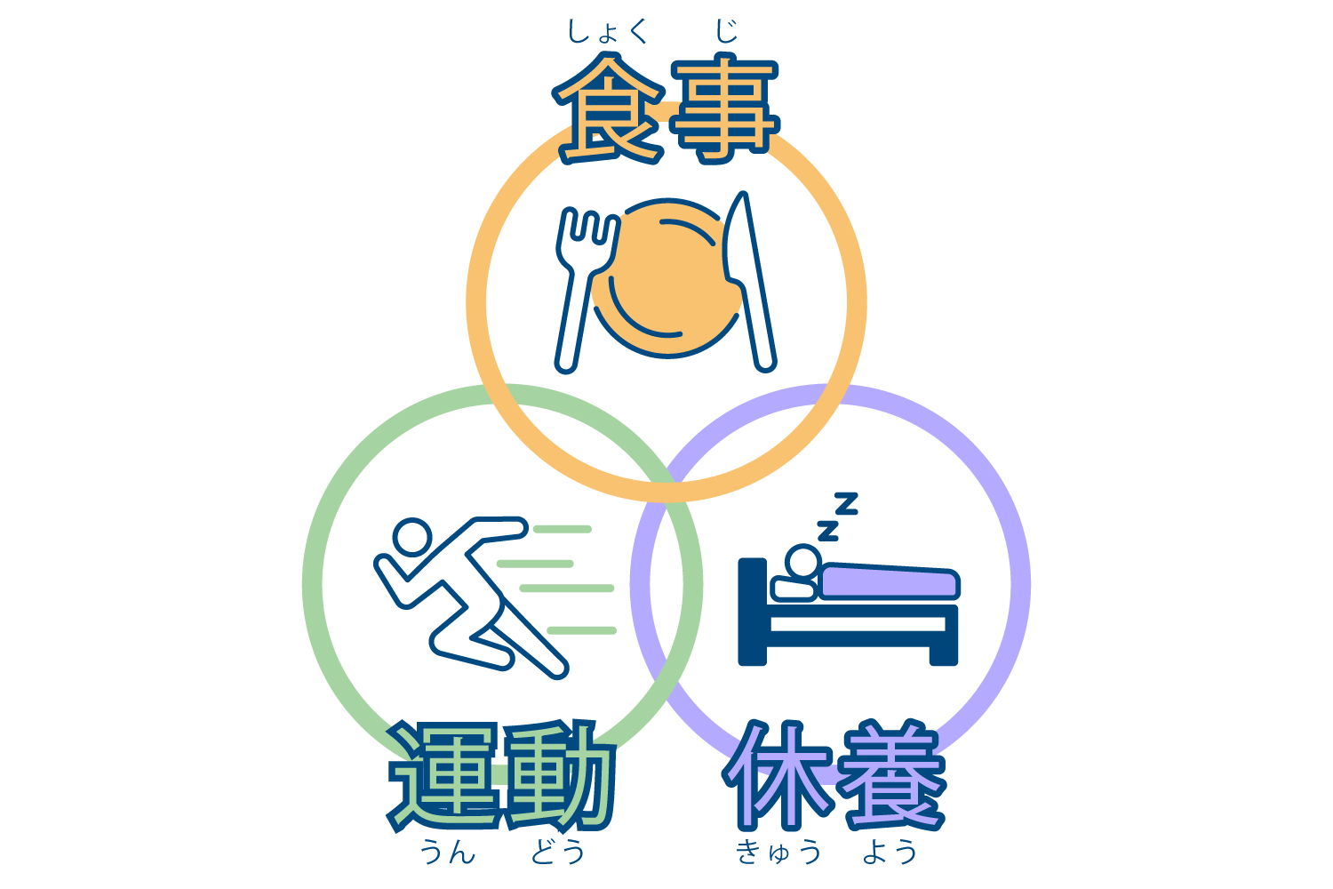 食事・運動・休養のサイクル