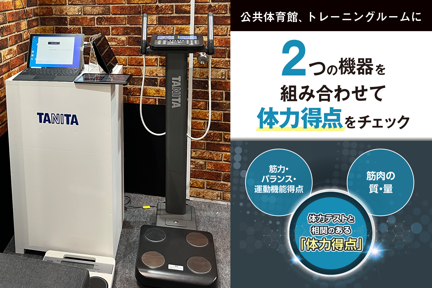 マルチ周波数体組成計 MC-780A-Nと運動機能分析装置 ザリッツの画像