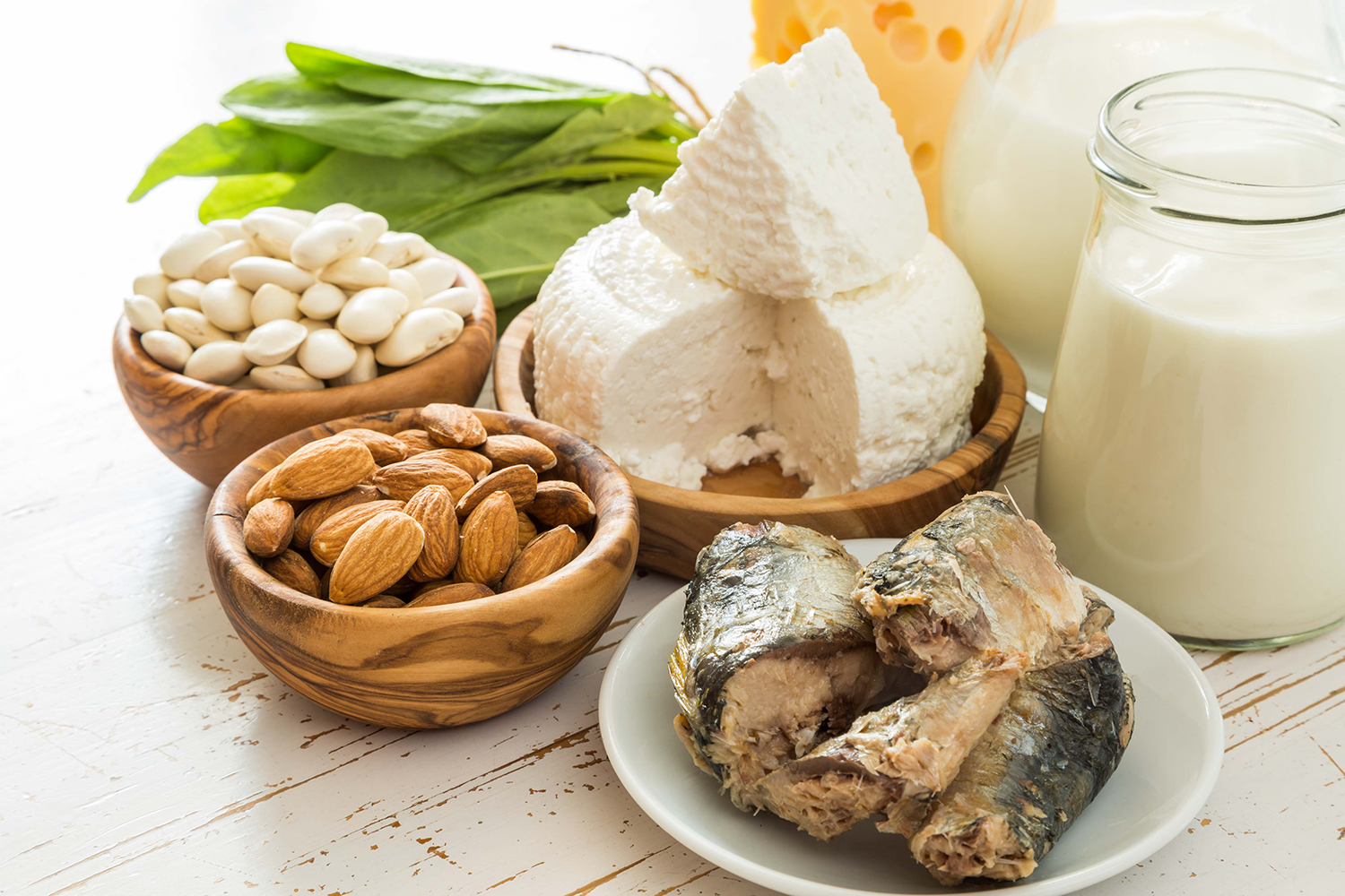 カルシウムを多く含む食品の一例