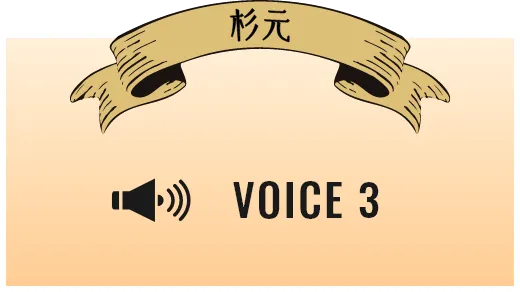 VOICE3