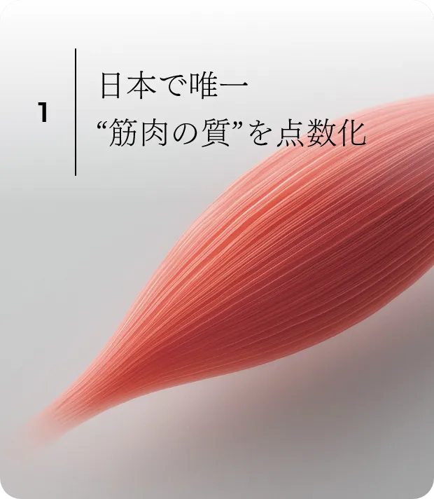 筋肉の質カード