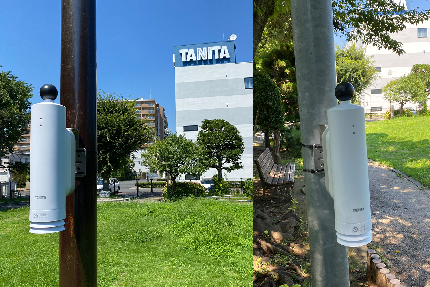 黒球式暑さ指数計「TC-350」が設置されている様子