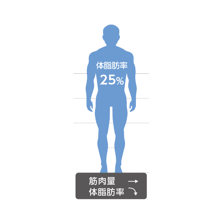 体脂肪率25%の人のイメージイラスト