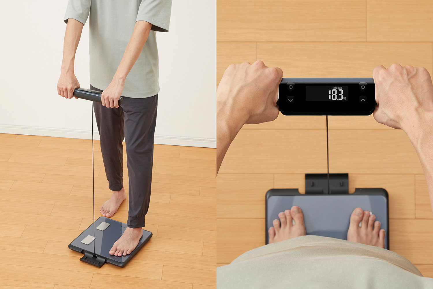 BC-623Lの測定画像