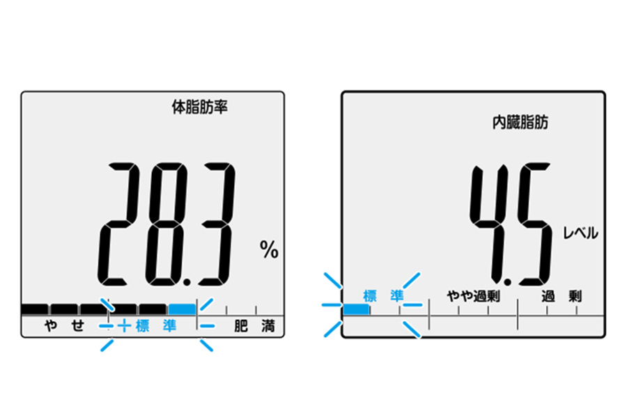 体脂肪率と内臓脂肪レベルの判定画像
