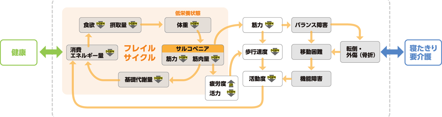フレイルサイクルの図解
