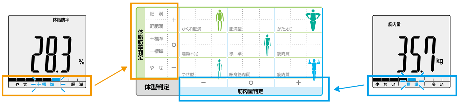 体脂肪率と筋肉量の測定値