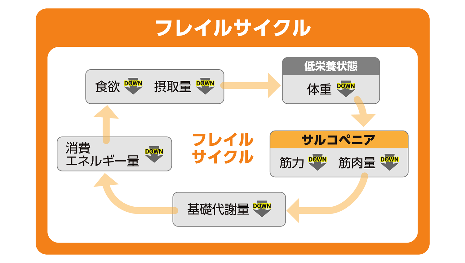 フレイルサイクルの画像