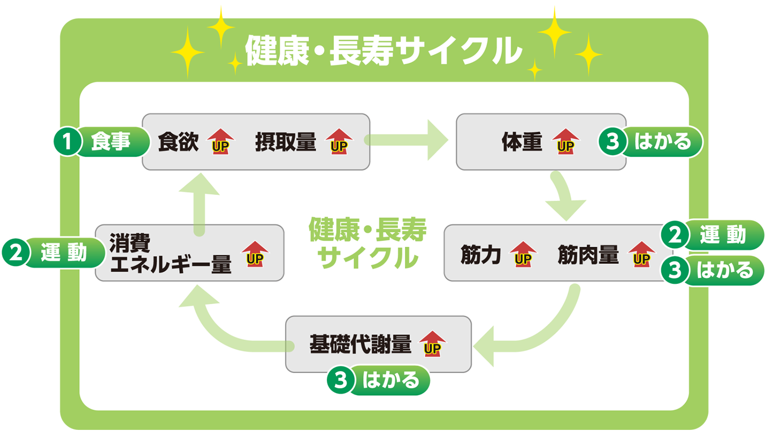 健康・長寿サイクルの画像