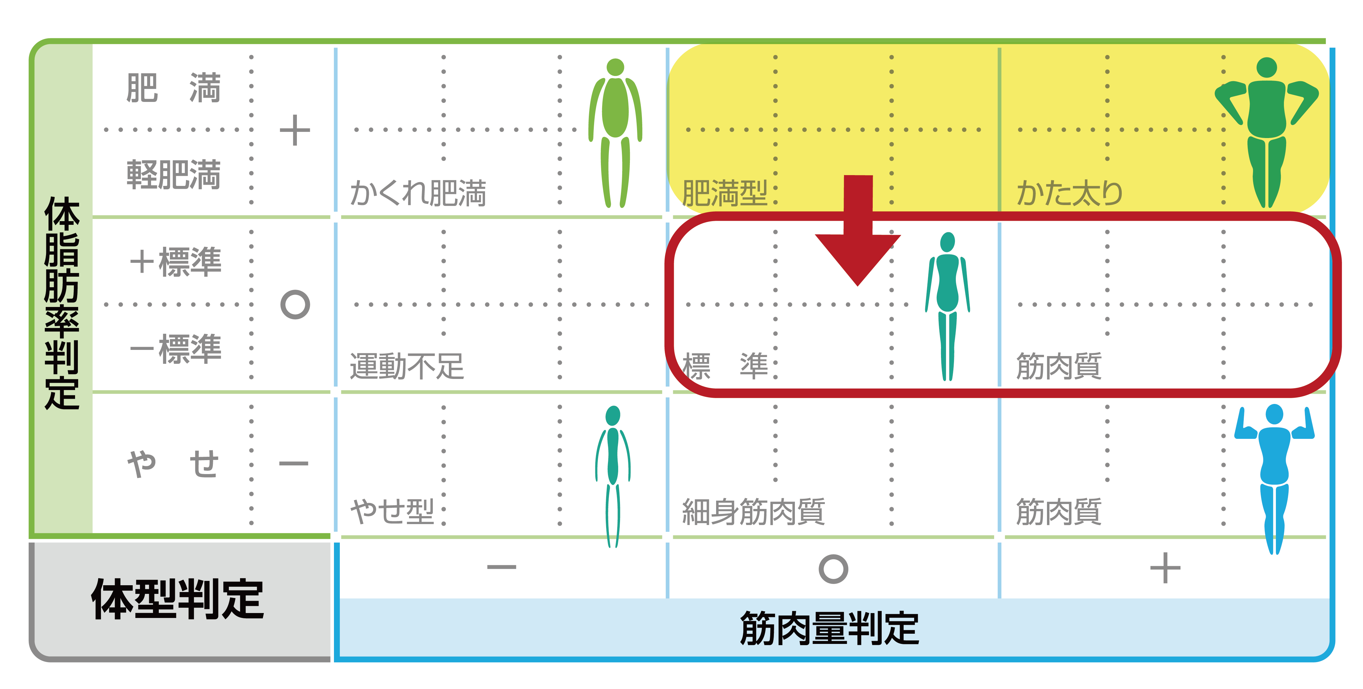 筋肉量が「標準」「多い」 かつ体脂肪率が「肥満」の場合の体系判定表