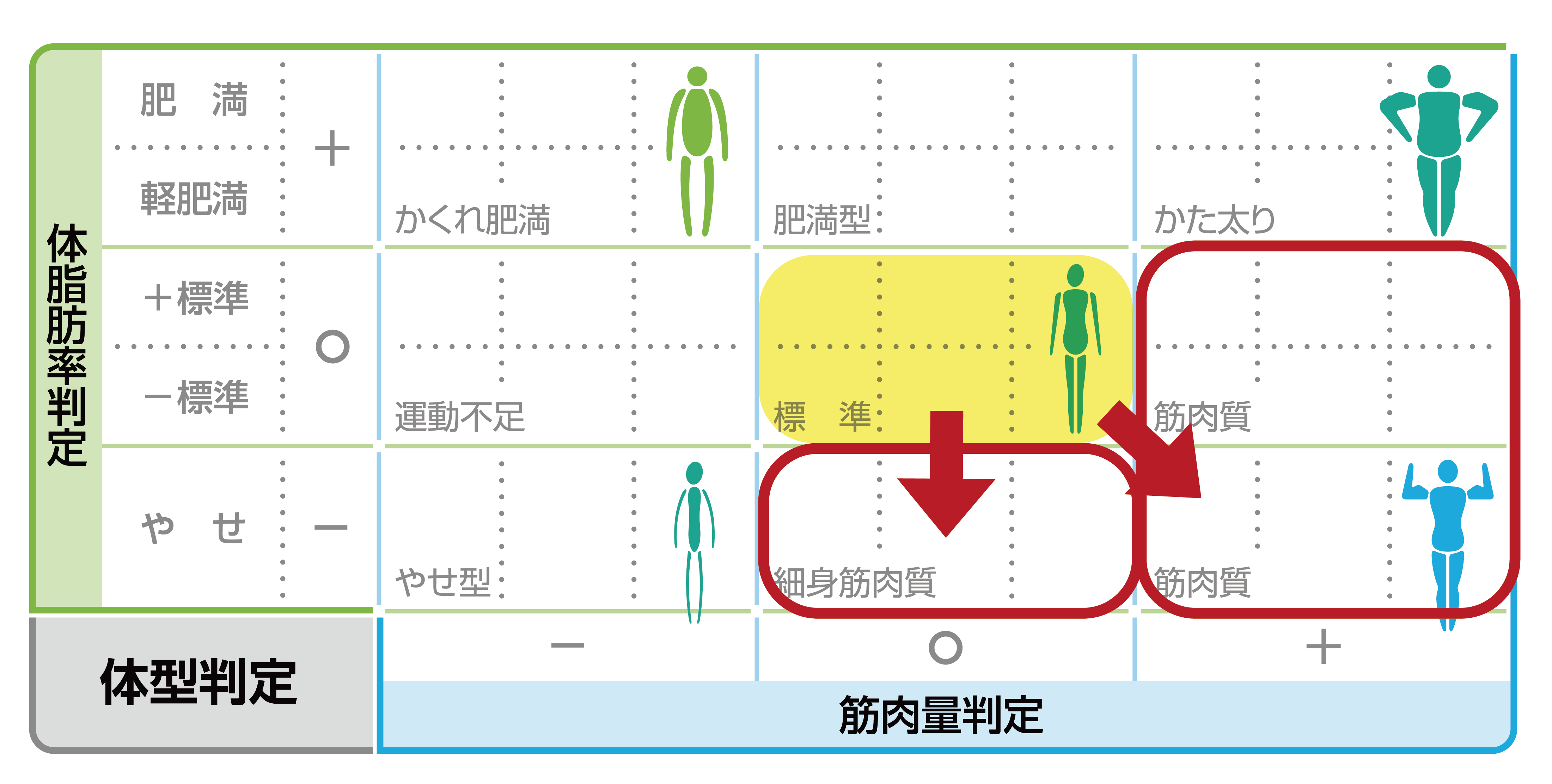 筋肉量が「標準」 かつ 体脂肪率が「標準」の場合の体型判定表