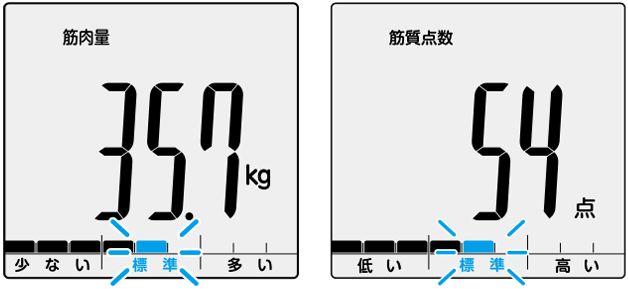 筋肉量と筋質点数の判定画像