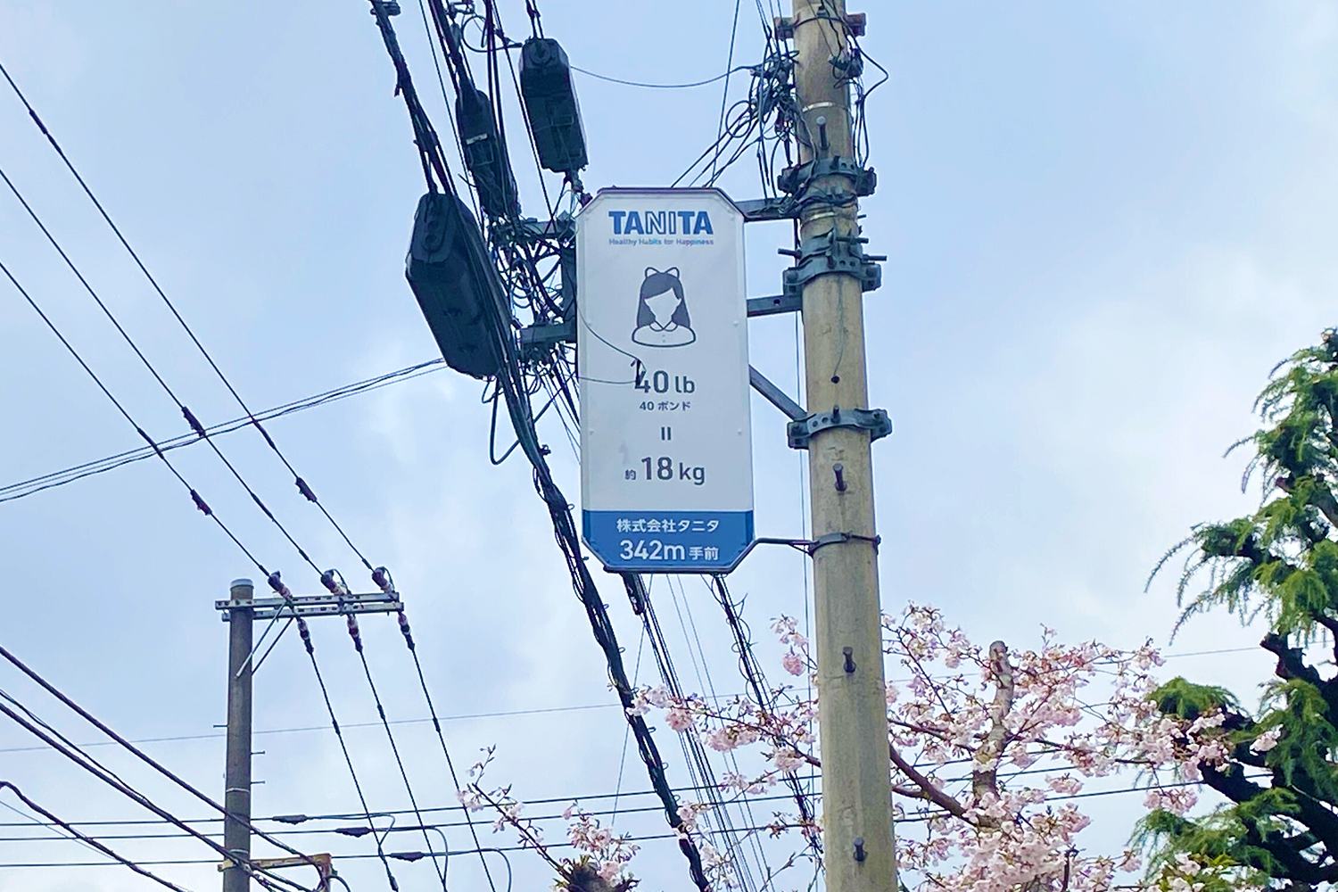 電柱に設置されている看板の画像