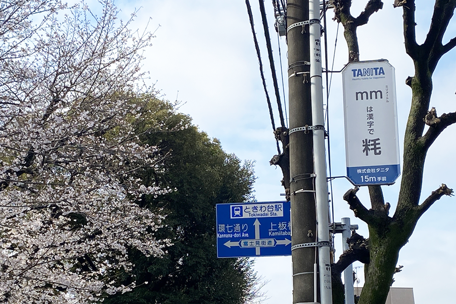 電柱に設置されている看板の画像