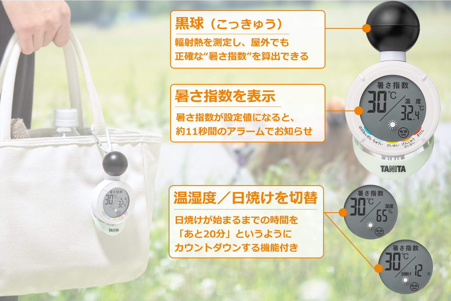 TC-210の商品画像