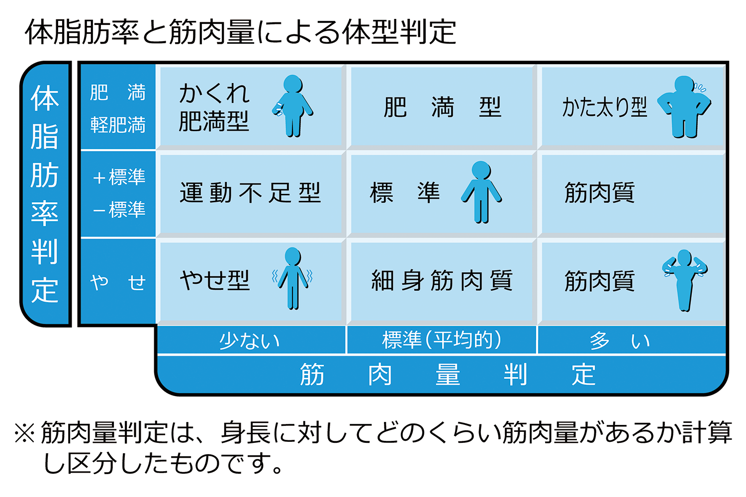 体脂肪率と筋肉量による体系判定表