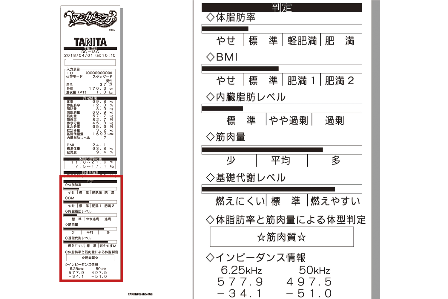 DC-13Cレシート画像