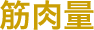 筋肉量