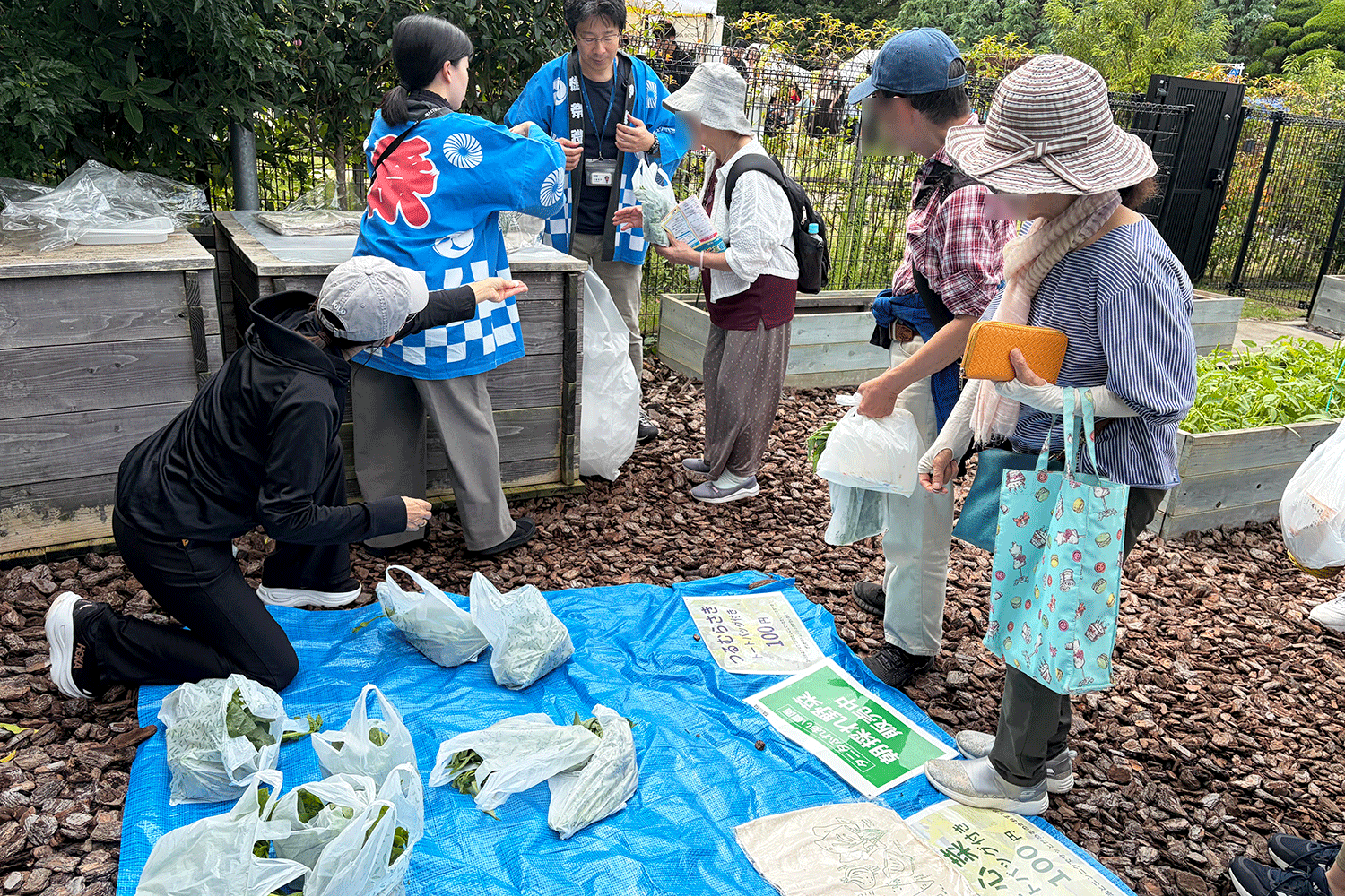 ふれあい農園自由見学コーナー